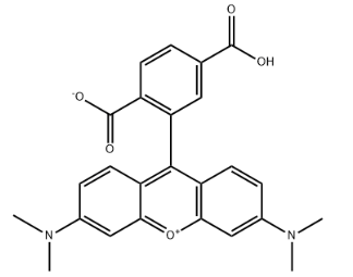 6-Carboxytetramethylrhodamine