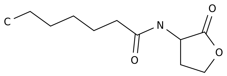 C7-HSL в Узбекистане