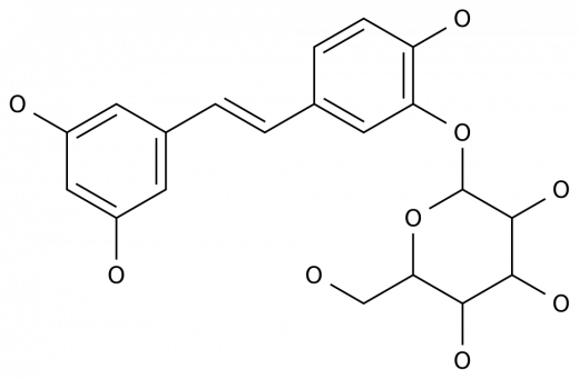 Пикеатаннол 3'-О-глюкозид в Узбекистане