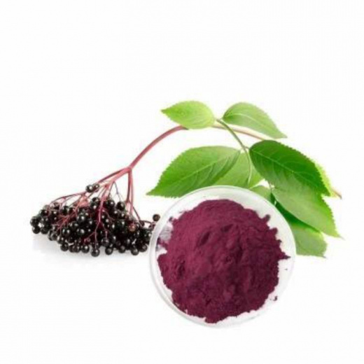 экстракта бузины высокой чистоты (25% антоцианов) в Узбекистане